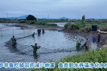 赤坑好水！养出好鱼虾@