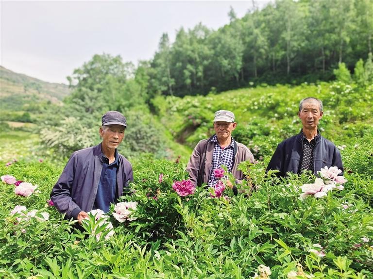 徐守万（左）、徐克山（右）、徐克胜和他们培育的花