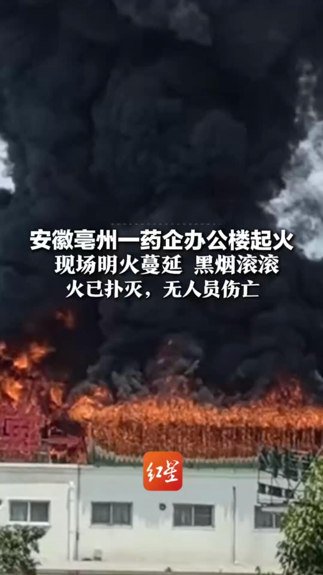 安徽亳州一药企办公楼起火 现场明火蔓延 黑烟滚滚 应急管理局：起火地点为二楼阳光棚 火已扑灭，无人员伤亡