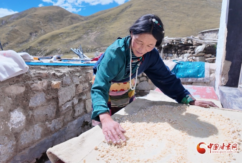 牧民世代以牦牛奶制作酸奶、酥油、奶渣等发酵乳制品
