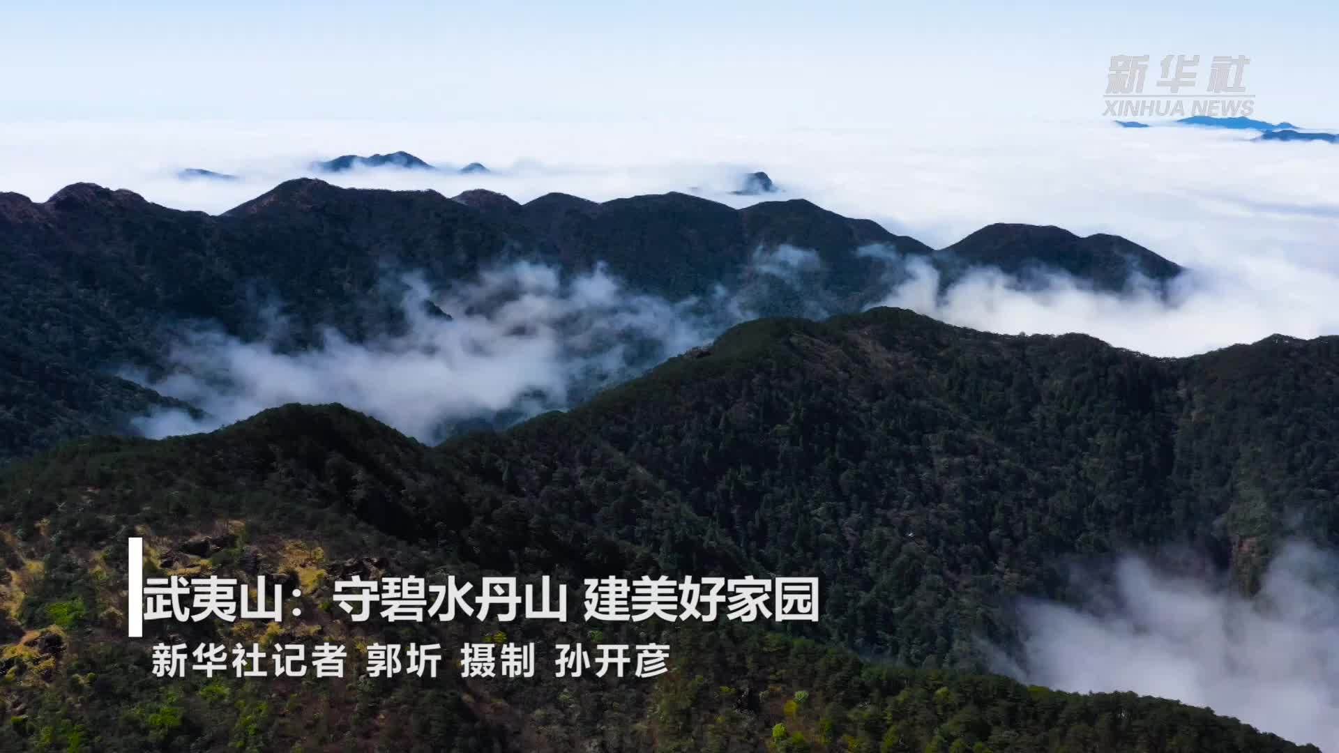 美丽中国行｜武夷山：守碧水丹山  建美好家园