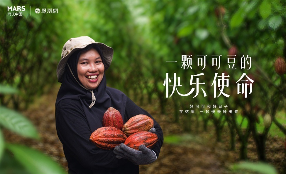 凤凰网探访印尼可可产地，看一块巧克力如何来到手边