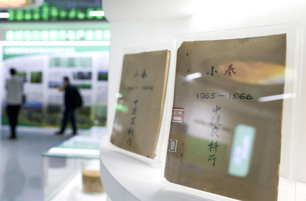 ↑6月5日，在河北沧州中捷产业园区农科所，展厅里陈列着该所上个世纪60年代的小麦育种记录。新华社记者 王菲 摄