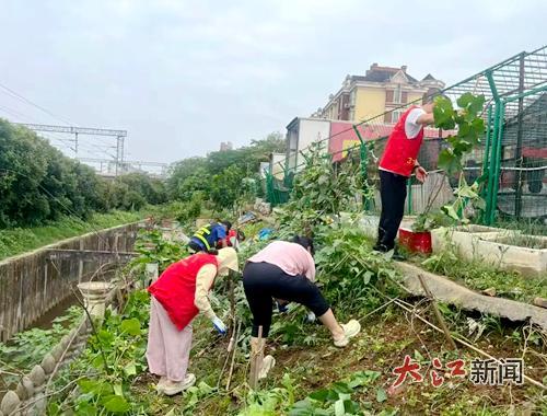 清理菜地、建口袋公园，新余城北街道让“微幸福”触手可及