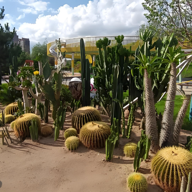 园内植物.png
