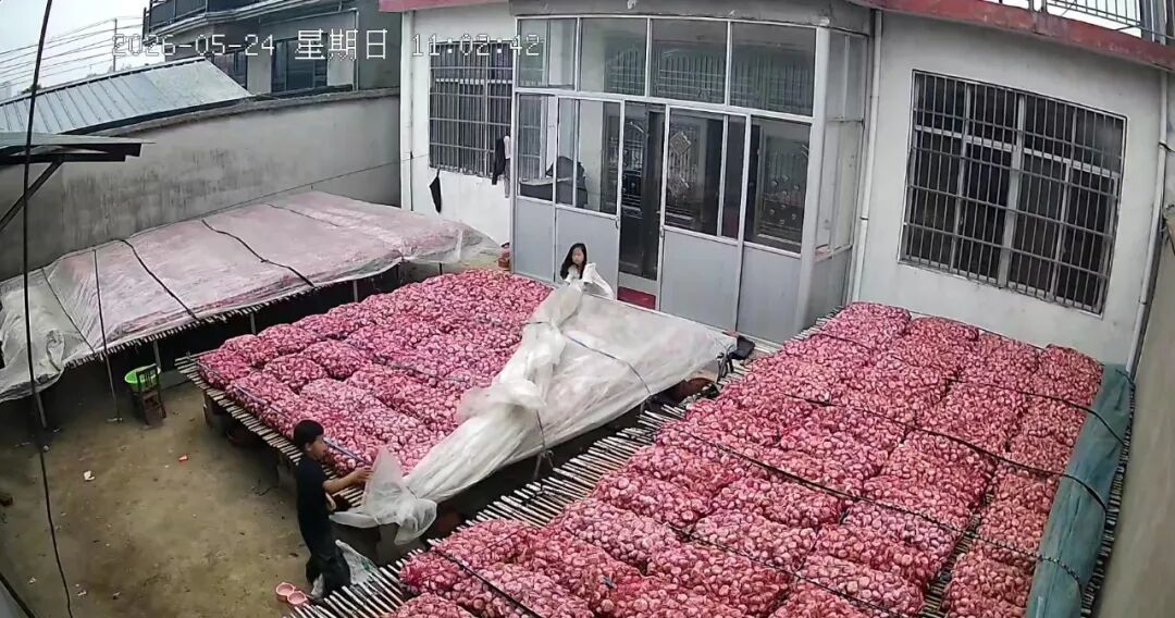1500万次点击背后,邳州这对姐弟缘何成为网友心中暖光?