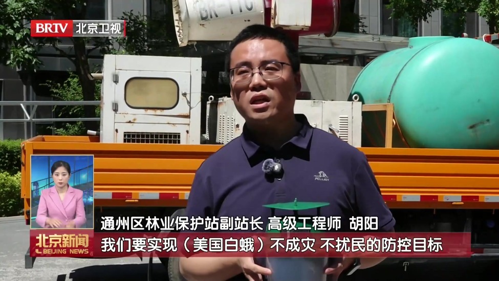 北京启动美国白蛾综合防治