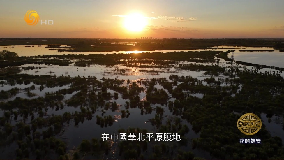 它不只是“华北明珠”，更是时代的沉默记录者