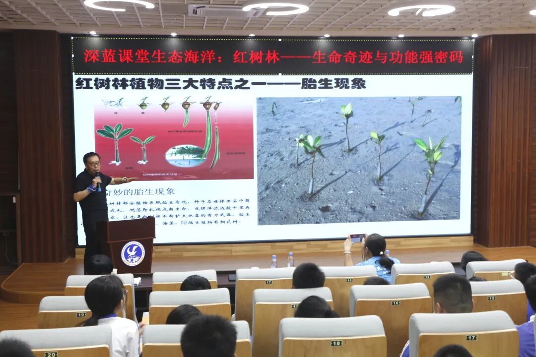 红树林植物三大特点之一——胎生现象