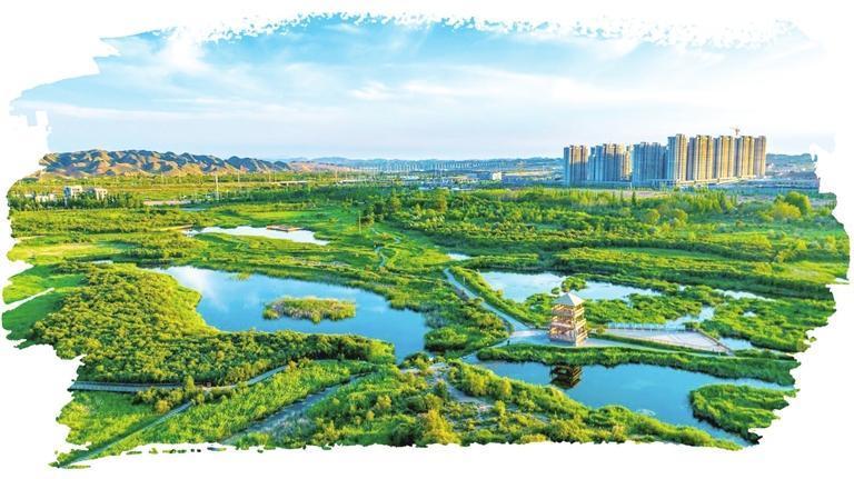 秦王川国家湿地公园　资料图