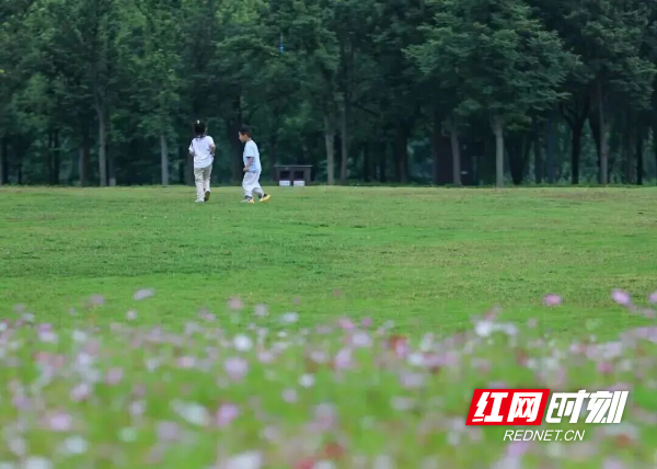 洋湖体育公园。
