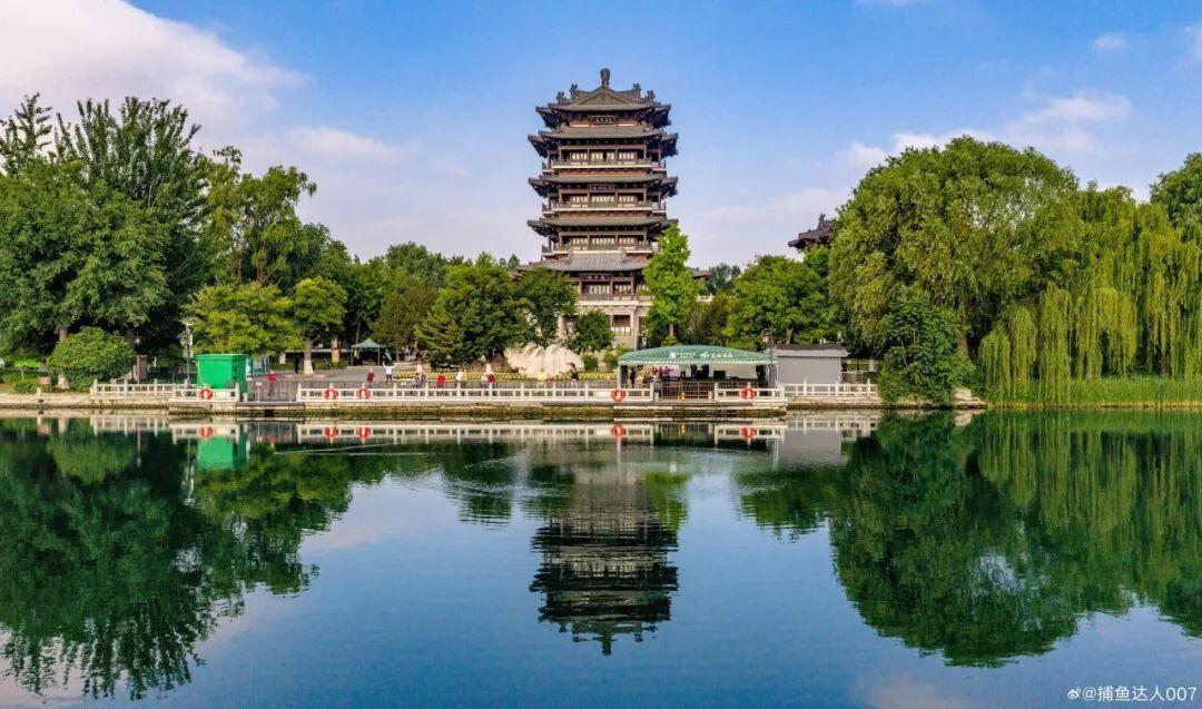 图1|摄影:董承华 2025年7月于大明湖 图2|摄影:李锋 2026年5月于大明湖