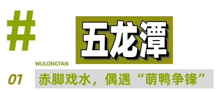 一条线路,10个宝藏地,打开济南的夏天!