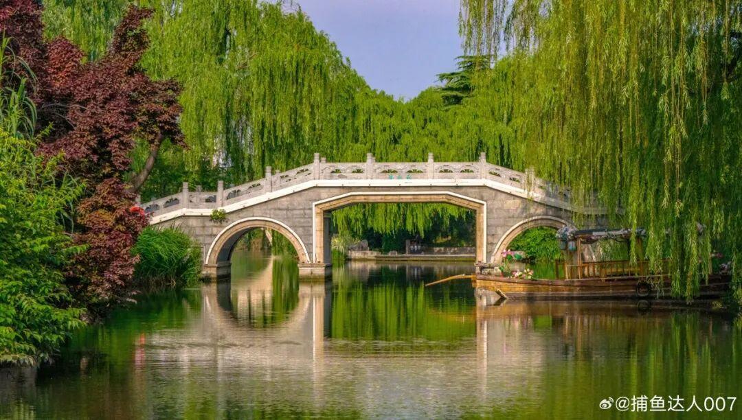 摄影:李锋 2026年5月于大明湖