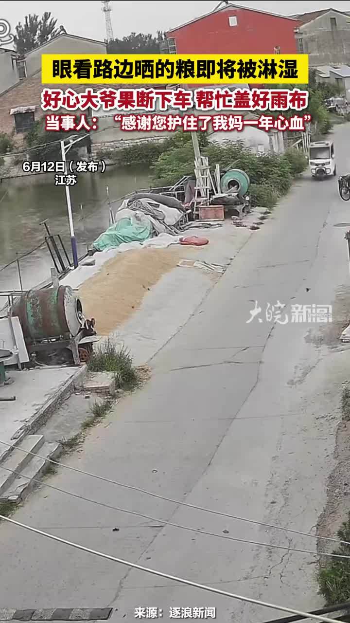 眼看路边晒的粮即将被淋湿，好心大爷果断下车 帮忙盖好雨布，当事人：“感谢您护住了我妈一年心血”#晒粮 #大爷