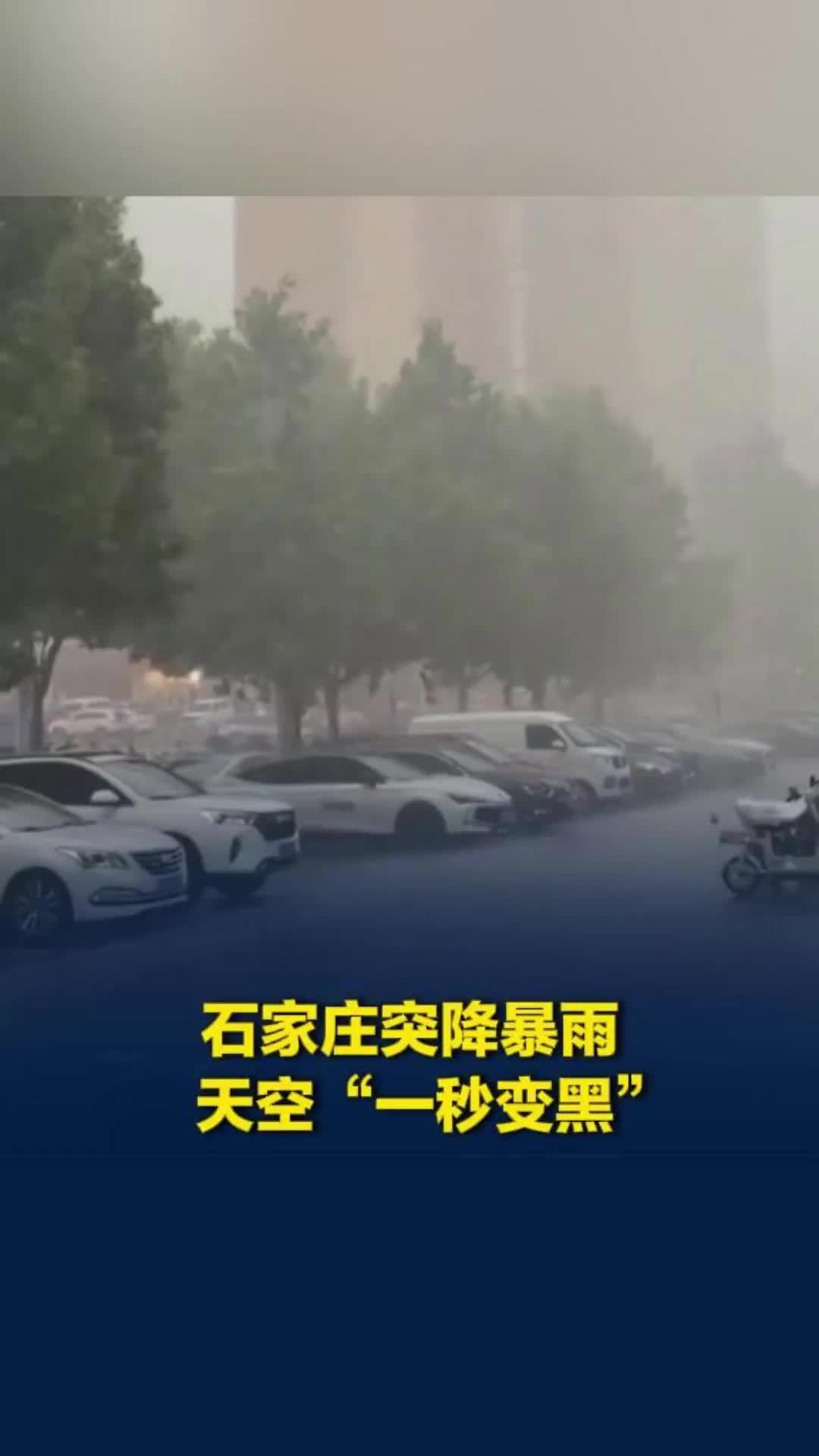 石家庄突降暴雨，天空“一秒变黑”，碗口粗行道树被连根拔起，应急局工作人员回应