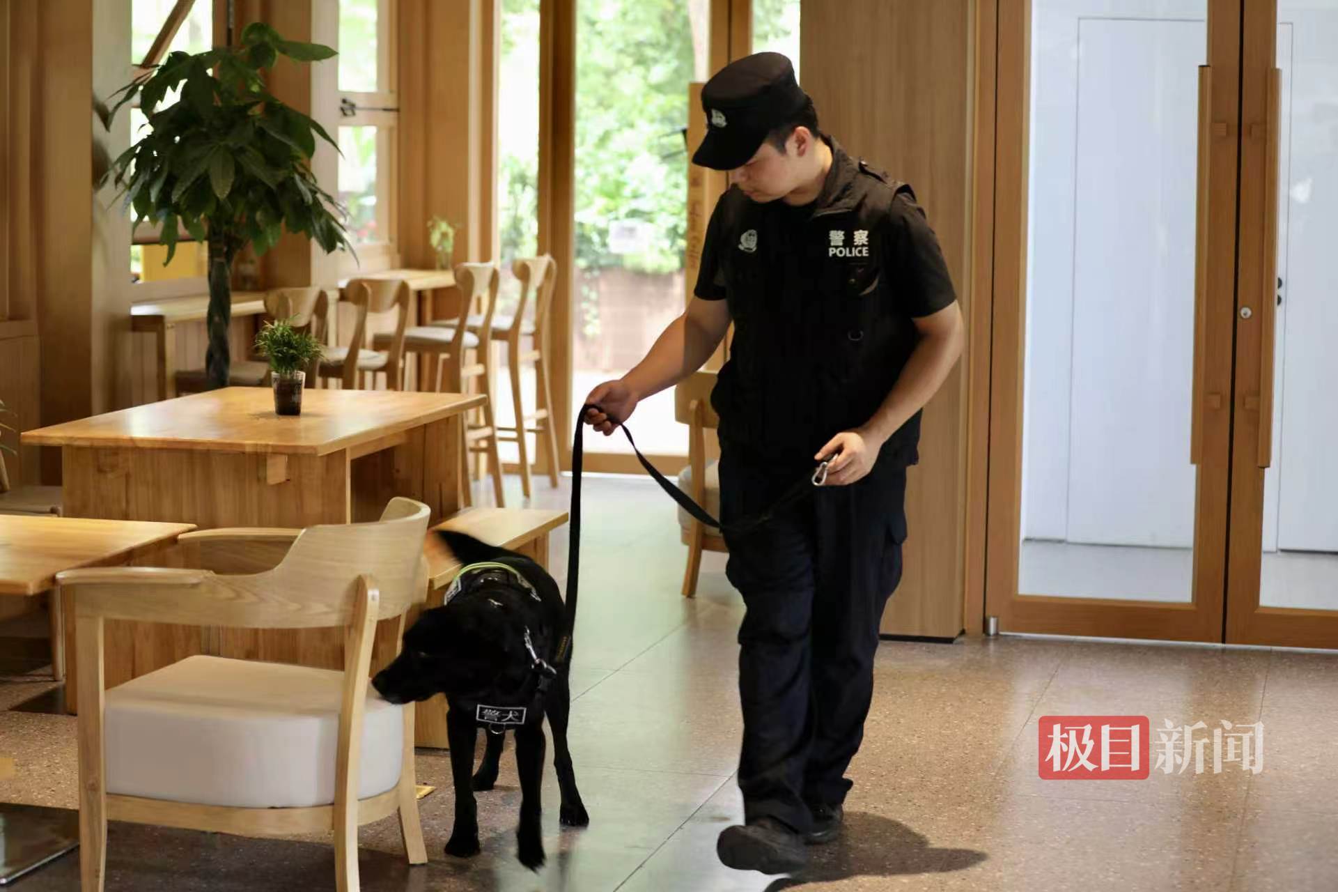 武汉市公安局东湖生态旅游风景区分局警犬“启生”协助案件侦办开展毒品搜索