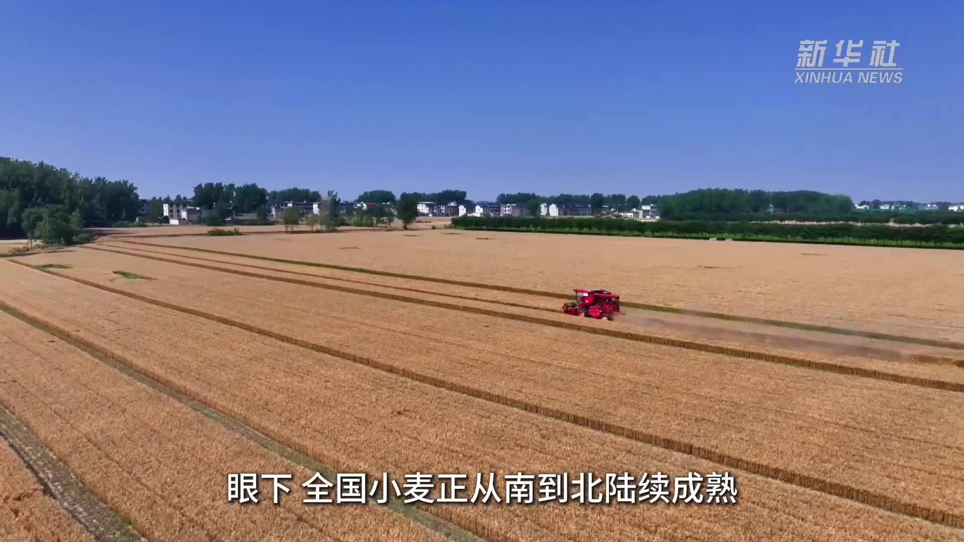 农业大市的夏收答卷：“拼”服务，更“拼”温度