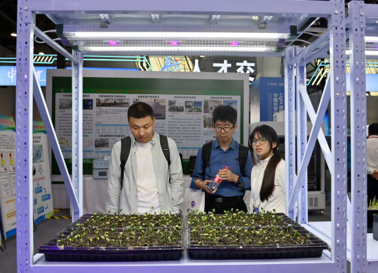 观众在展位前观察植物生长情况。张瑶 摄