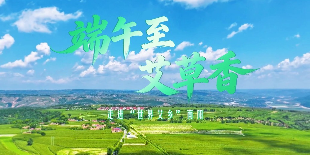 端午至 艾草香——走进“世界艾乡”南阳