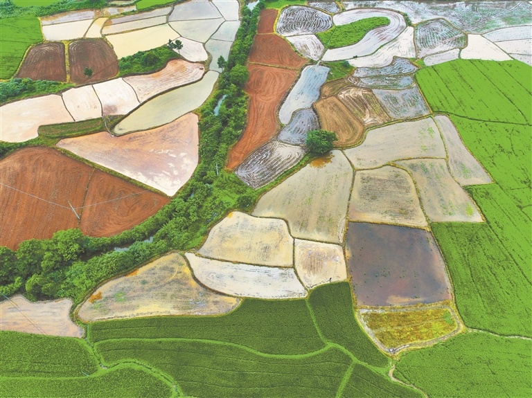 乡村美景入画来（图）