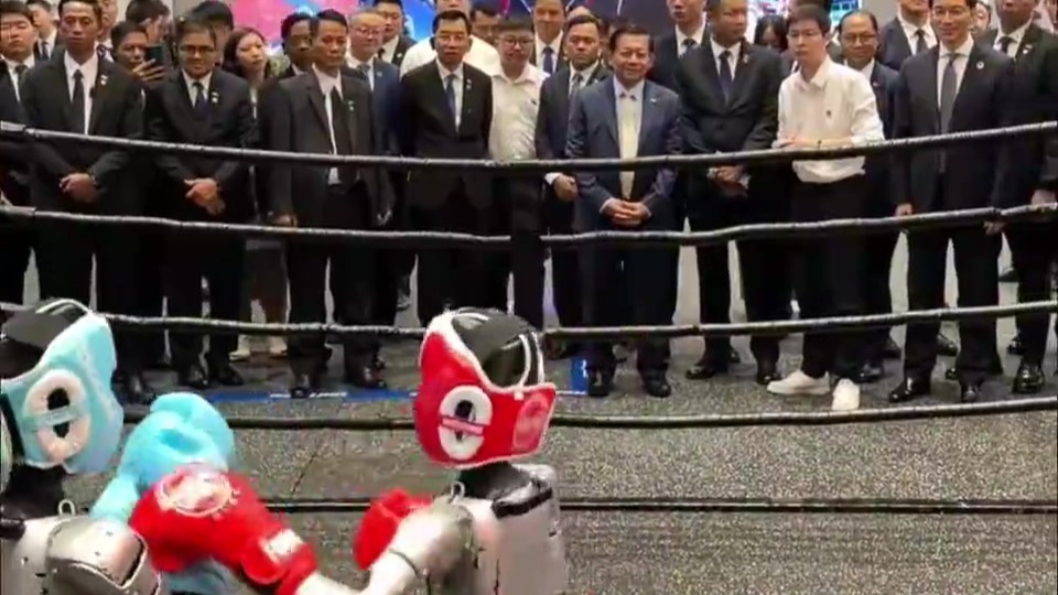 缅甸总统在宇树科技看机器人表演武术、打拳击