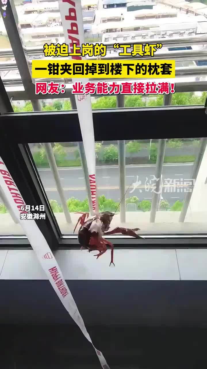 被迫上岗的“工具虾”，一钳夹回掉到楼下的枕套，网友：业务能力直接拉满！#小龙虾