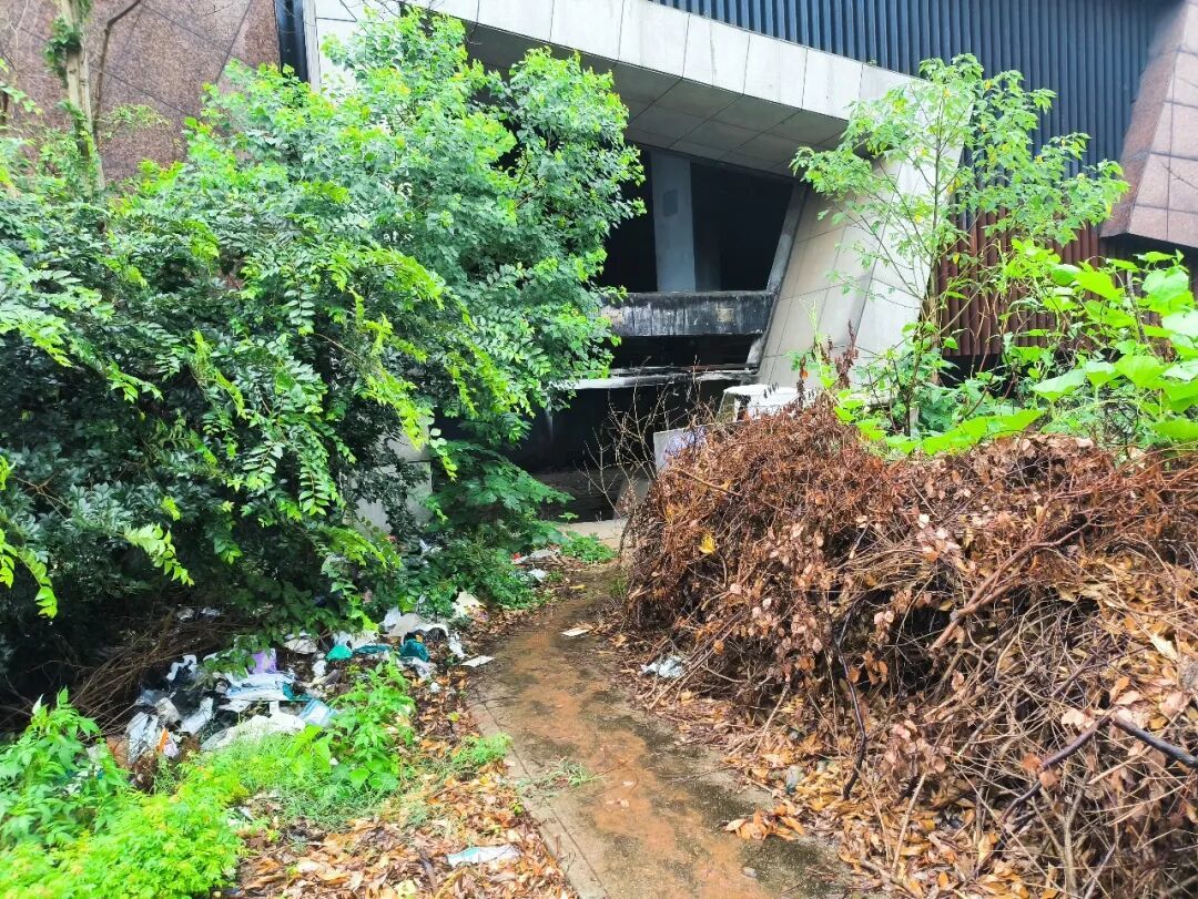 南昌县正荣大湖之都小区铁皮围挡围出“垃圾场”业主投诉多年物业回应:已启动清运(图1)