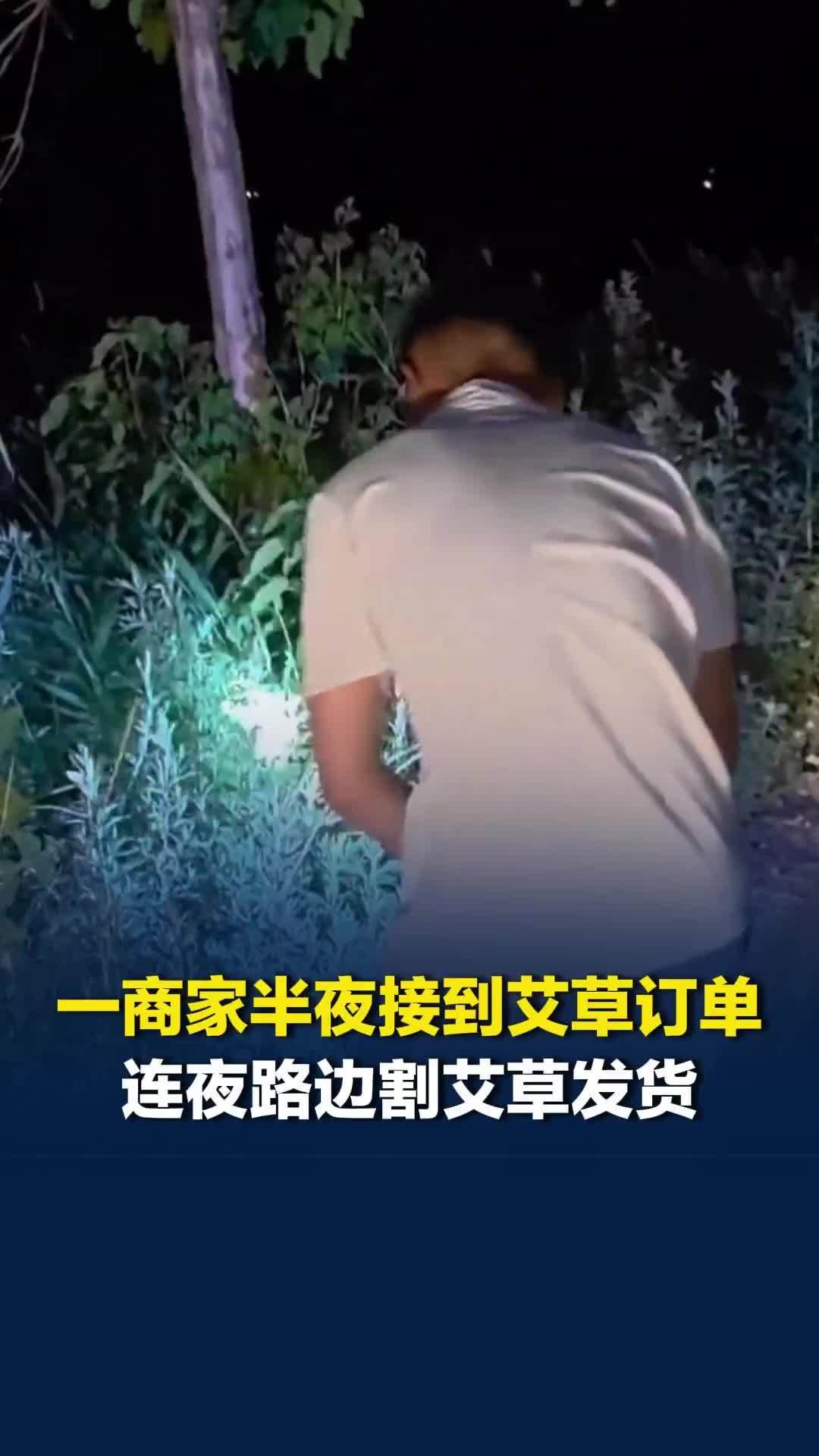 山东一商家半夜接到艾草订单，连夜路边割艾草发货。商家：卖5.9至11.9元，保本