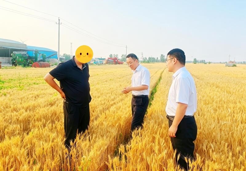 工商银行河南省分行：护航“三夏”生产  助力中原丰收