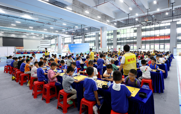 三连佳绩！南山围棋全市领跑，实力尽显