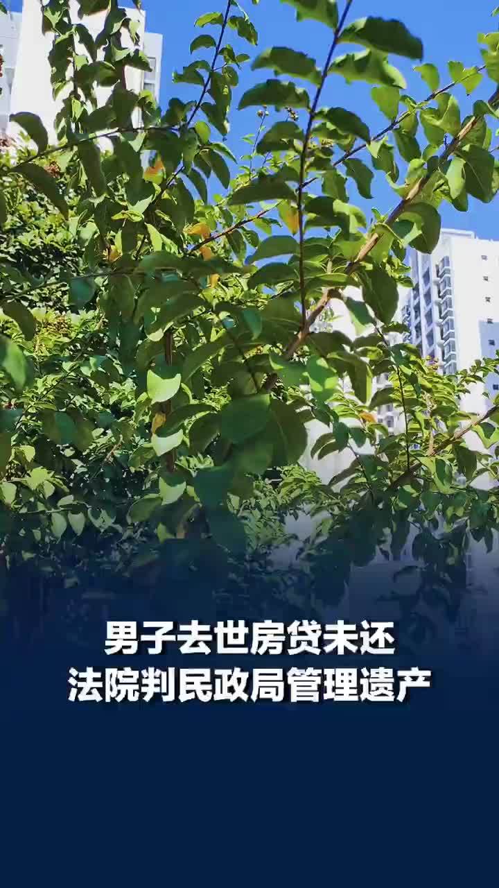 男子去世欠49万房贷父母放弃继承，法院判民政局为遗产管理人：管理但不还债
