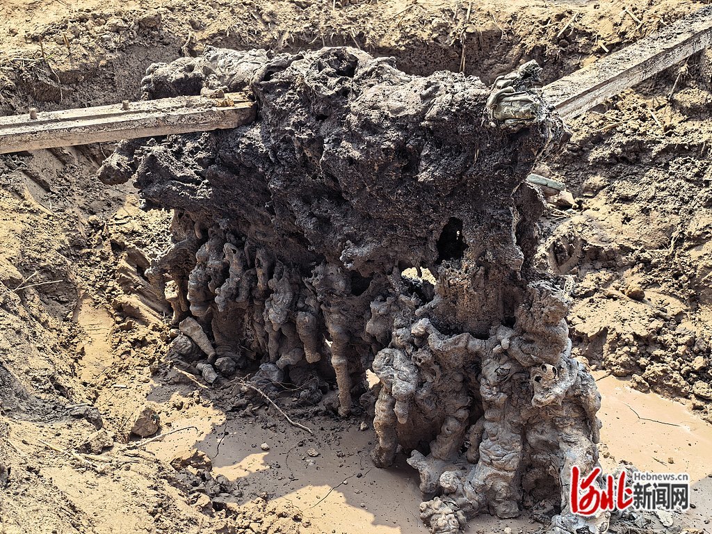 麦地里的闪电熔岩。杨思涵/摄