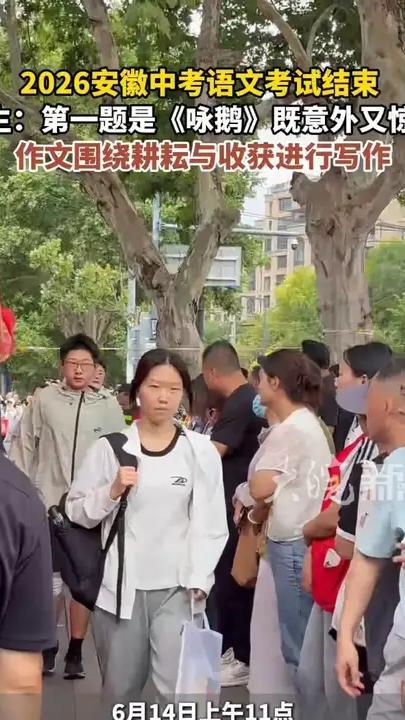 2026安徽中考语文考试结束 考生：第一题是《咏鹅》既意外又惊喜 作文围绕耕耘与收获进行写作