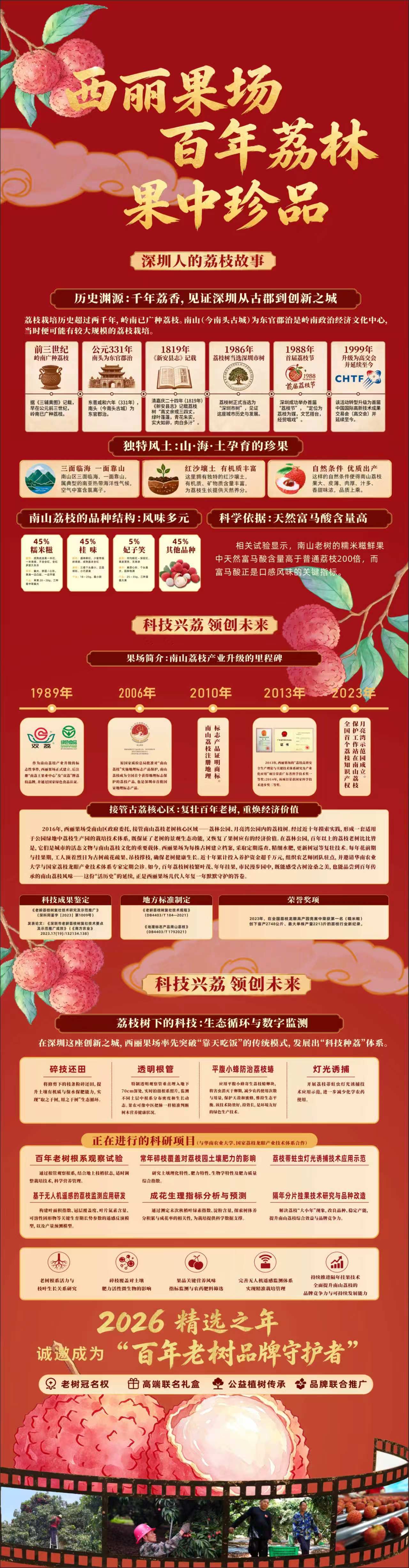 从一季鲜果到城市文化资产：南山百年荔枝老树权益包拍出2.9万元