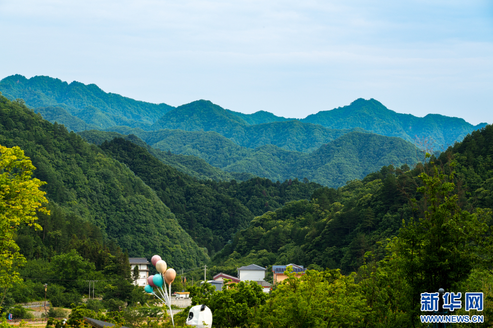 巍巍秦岭，满眼苍翠。