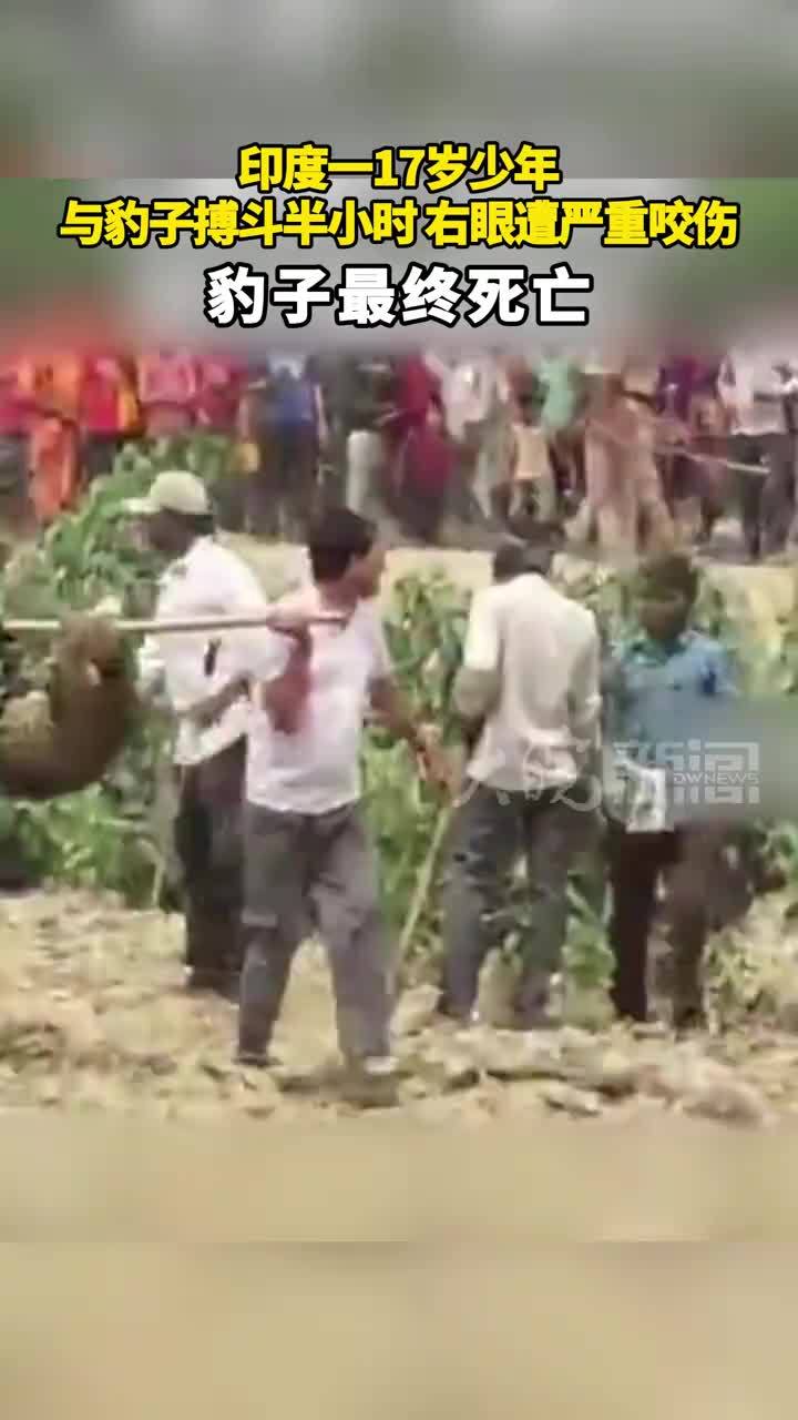 印度一17岁少年与豹子搏斗半小时，右眼遭严重咬伤，豹子最终死亡