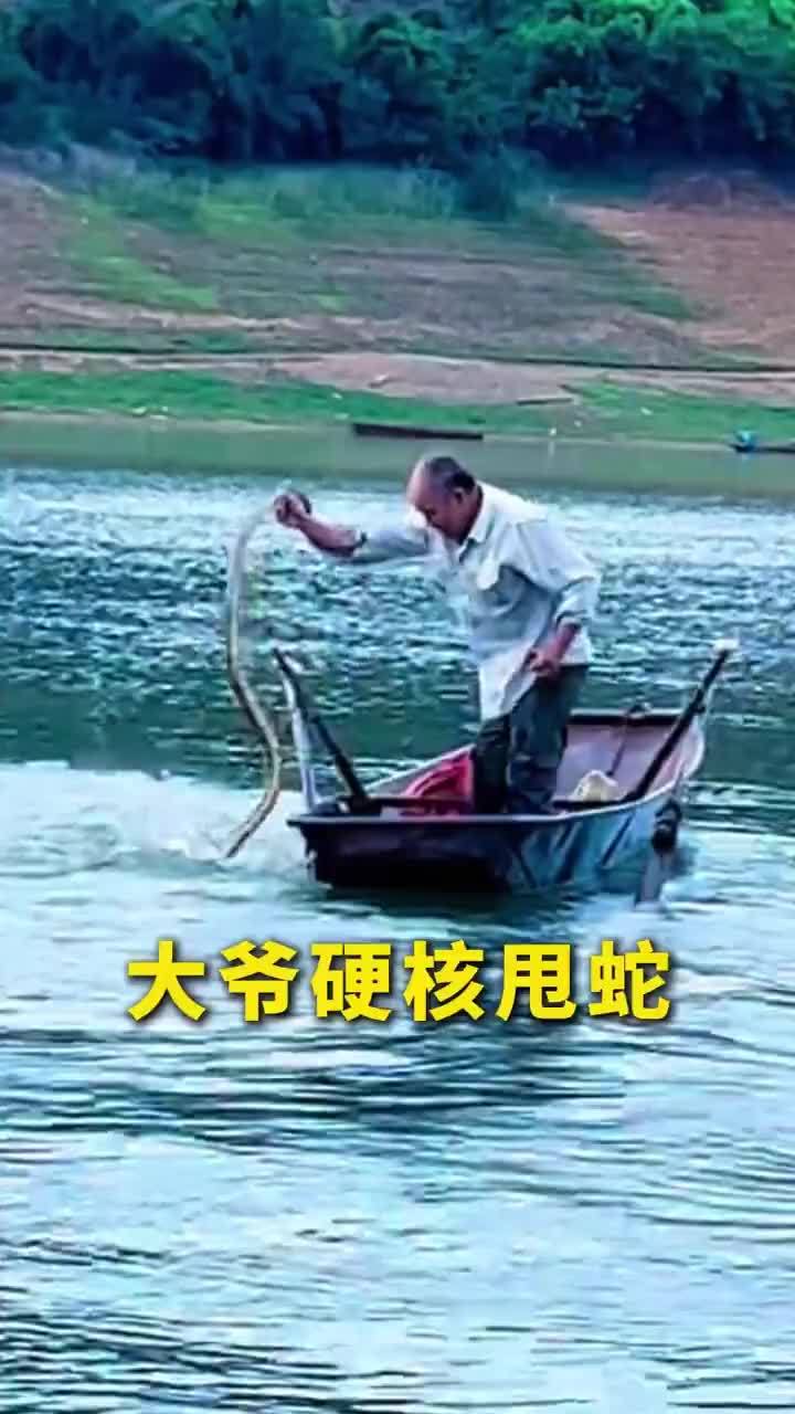 大爷硬核甩蛇手法娴熟