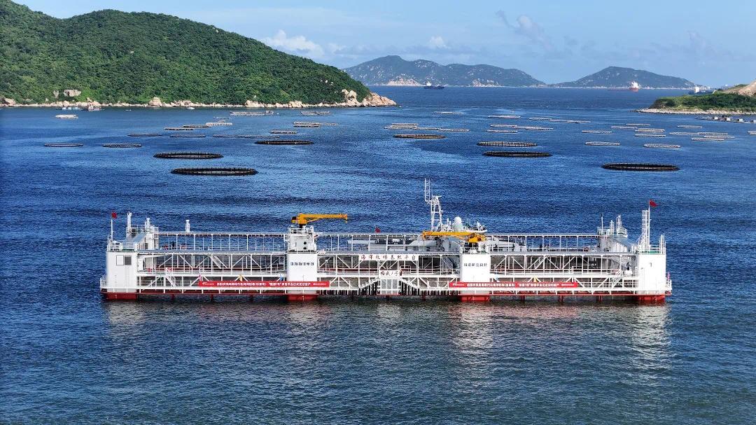 格盛1号.jpg