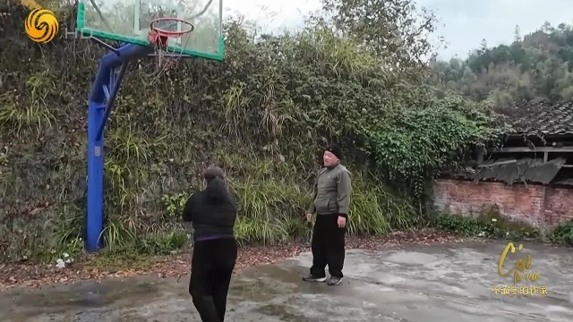 大学教授潘年英遭受身体和精神的双重打击，阿包的出现让他重新燃起希望