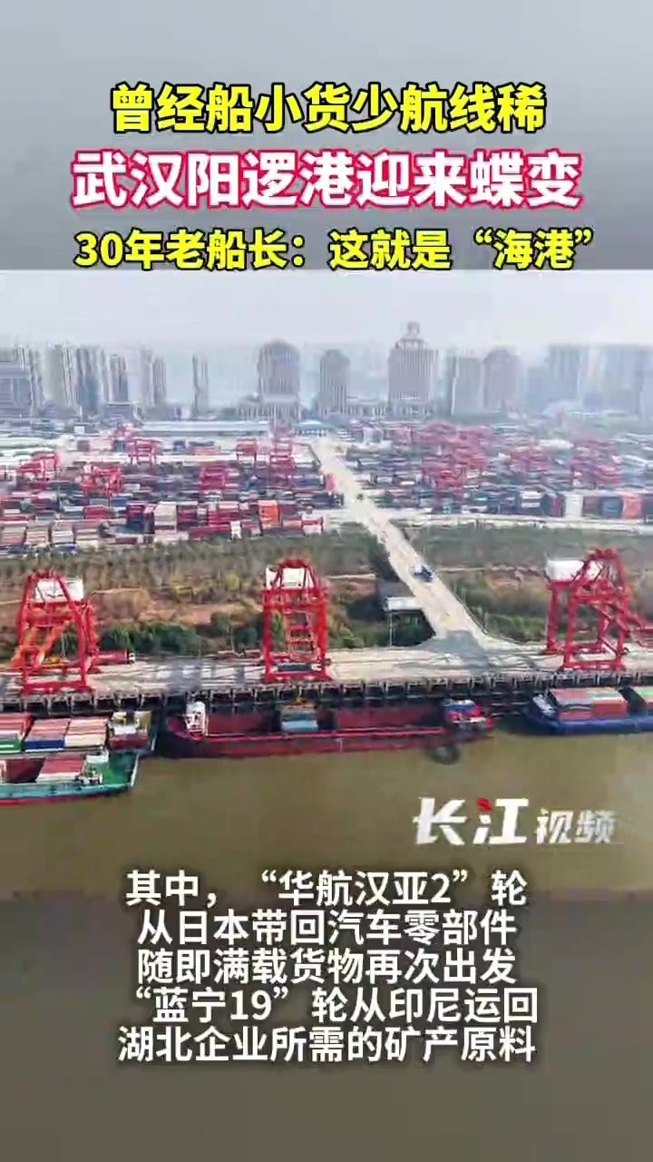 伟大征程 | 长江拐弯处，内陆港推开世界门