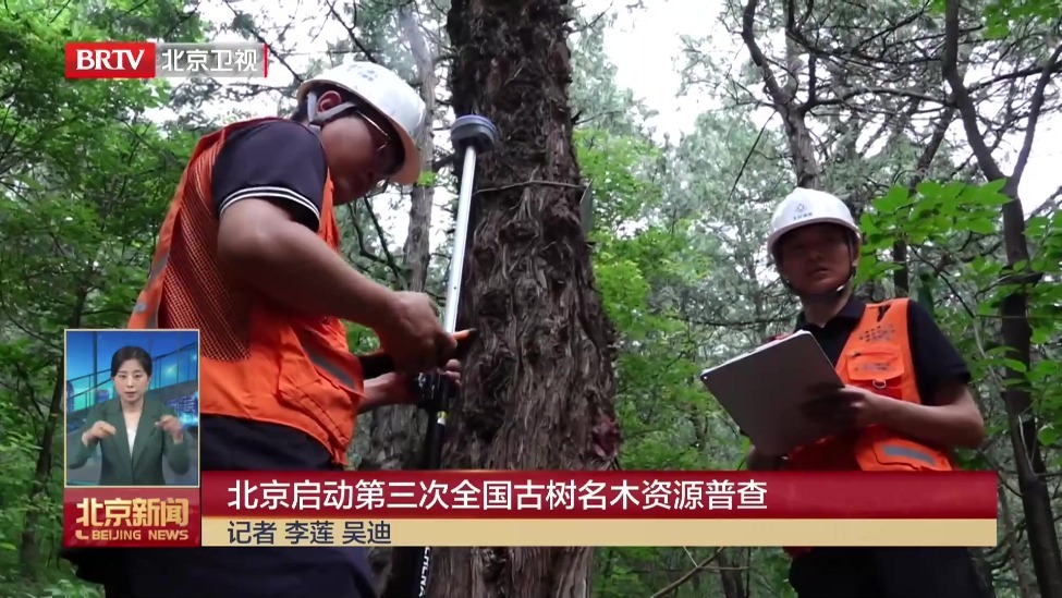 北京启动第三次全国古树名木资源普查