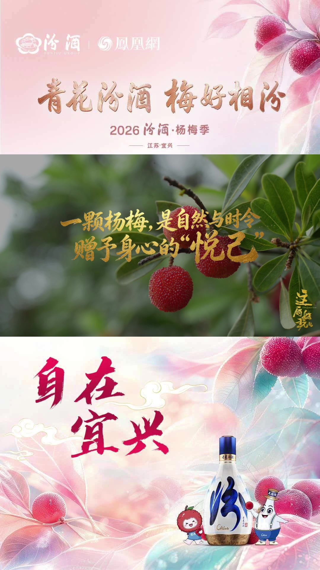 联合国世界旅游组织大使祝善忠：一颗杨梅，是自然与时令赠予身心的“悦己”