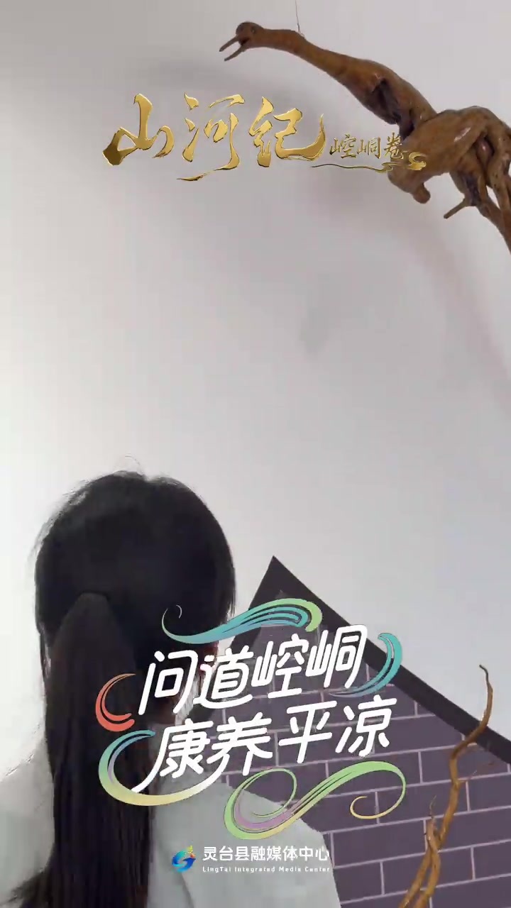 山河纪　崆峒卷丨探甘肃灵台根艺馆　感受化朽为奇的根雕艺术