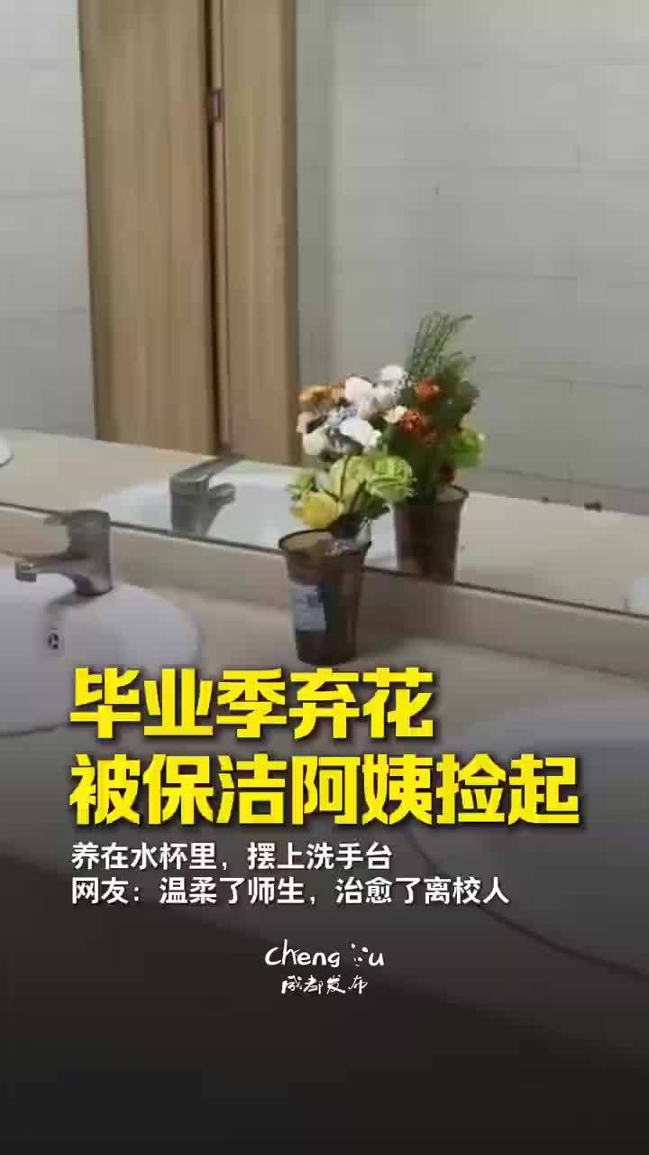 毕业弃花被保洁阿姨捡起养水杯里