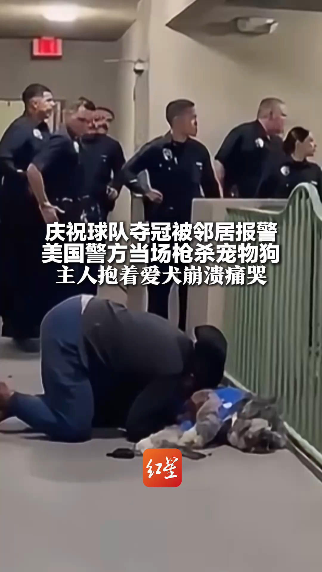 庆祝球队夺冠被邻居报警 美国警方当场枪杀宠物狗 主人抱着爱犬崩溃痛哭：自己尖叫只是因为赢球太高兴了