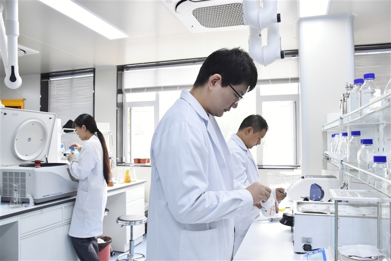 周口国家农高区的实验室科研一线,青年科技人员在做实验。卢涛 摄