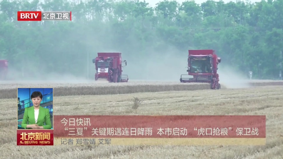 “三夏”关键期遇连日降雨 本市启动“虎口抢粮”保卫战