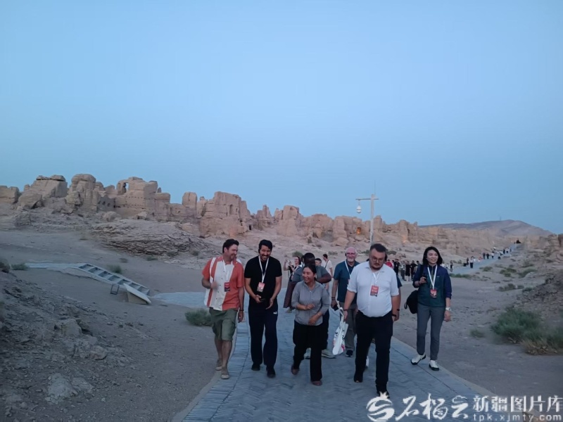 “海外智库看新疆”活动代表团在吐鲁番市交河故城参访。石榴云/新疆日报记者 张冬梅摄