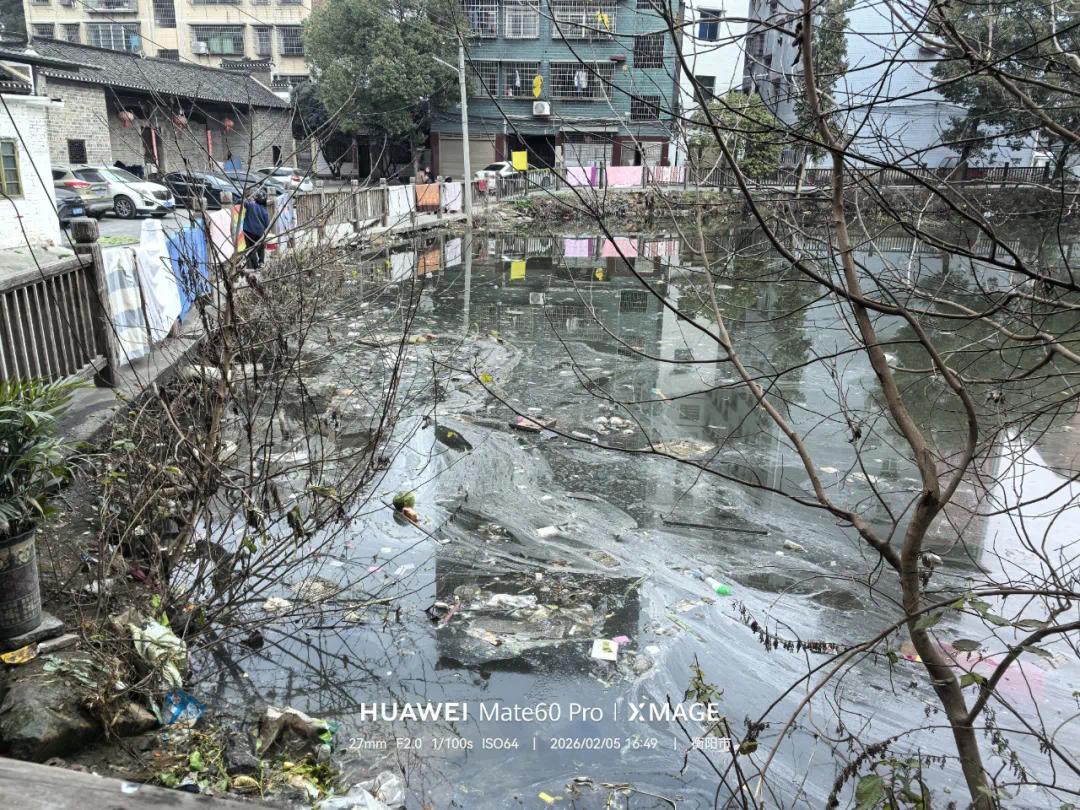 水体发黑异味重衡阳一景区外围池塘脏乱差！回复：不定期清理(图1)